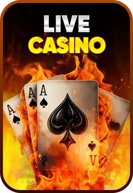 casino xvip